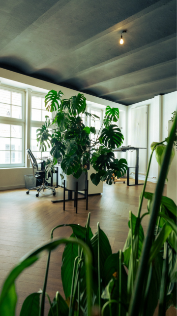 Das Büro in Bielefeld