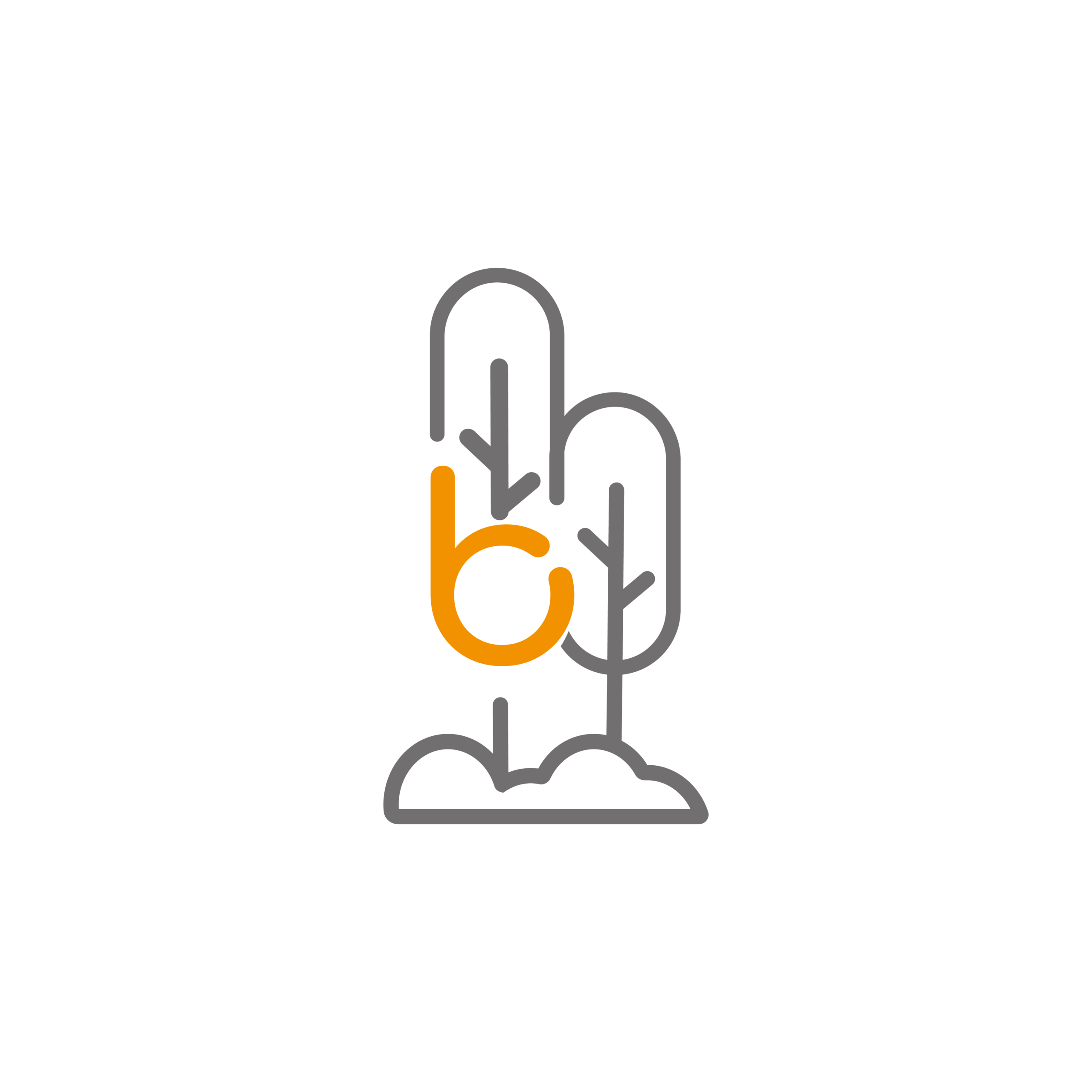 Landschaftsarchitektur